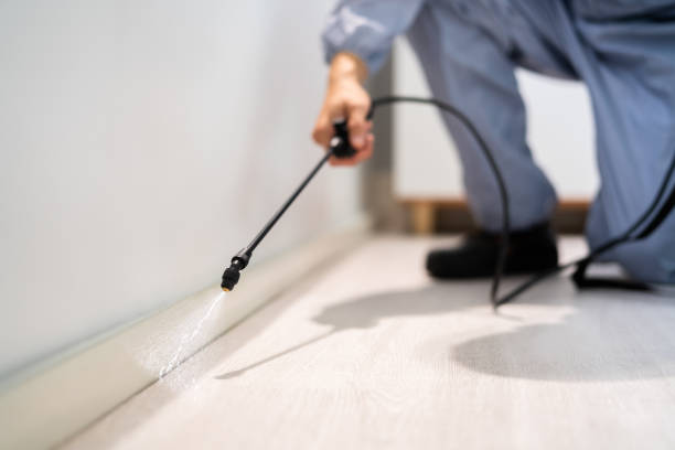 Licensed Pest Control service in Nashville, IL - Show Me Pest Control