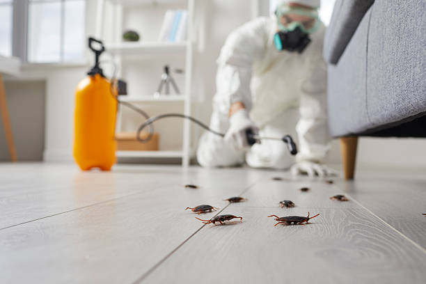 Commercial Kitchen Cockroach Control in Nashville